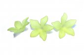 Margele din acril, frosted, floare, 27x7 mm, vernil